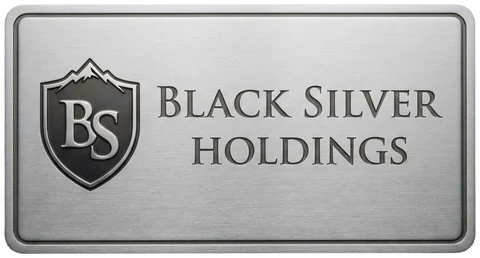 Black Silver Holdings